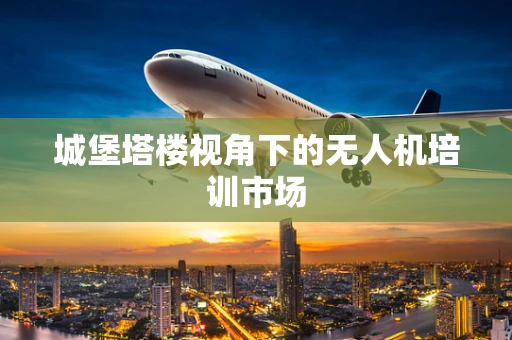 城堡塔楼视角下的无人机培训市场