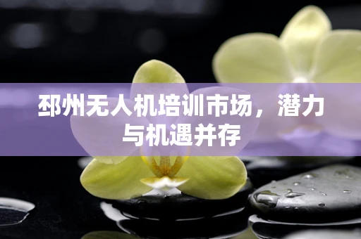 邳州无人机培训市场，潜力与机遇并存