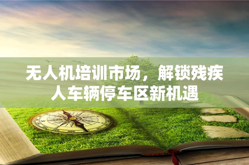 无人机培训市场，解锁残疾人车辆停车区新机遇