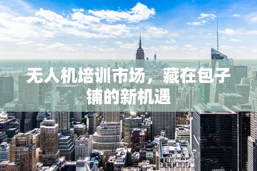无人机培训市场，藏在包子铺的新机遇