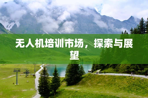 无人机培训市场，探索与展望