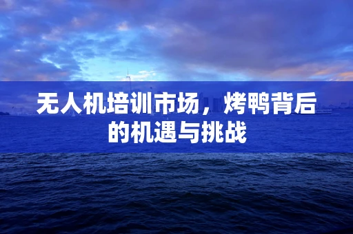 无人机培训市场，烤鸭背后的机遇与挑战