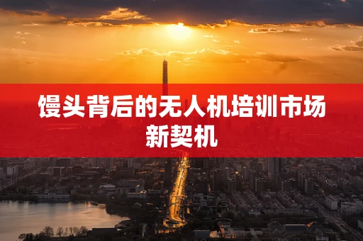 馒头背后的无人机培训市场新契机