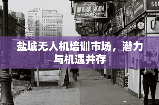 盐城无人机培训市场，潜力与机遇并存