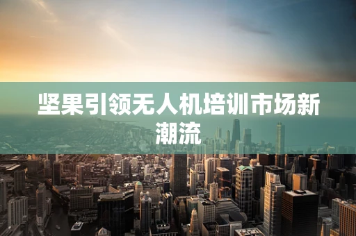 坚果引领无人机培训市场新潮流