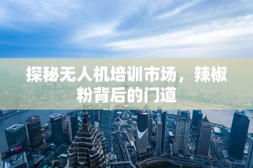 探秘无人机培训市场，辣椒粉背后的门道