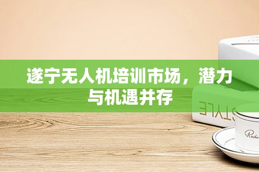 遂宁无人机培训市场，潜力与机遇并存