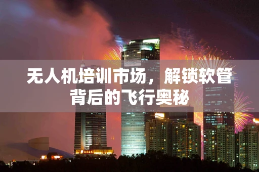 无人机培训市场，解锁软管背后的飞行奥秘