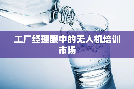 工厂经理眼中的无人机培训市场