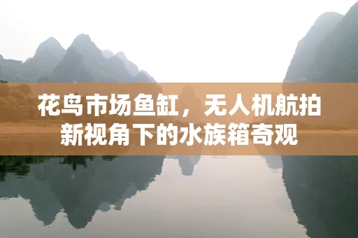 花鸟市场鱼缸，无人机航拍新视角下的水族箱奇观