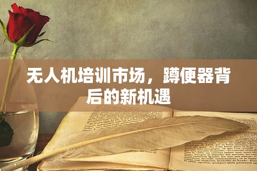 无人机培训市场，蹲便器背后的新机遇