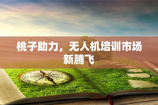 桃子助力，无人机培训市场新腾飞