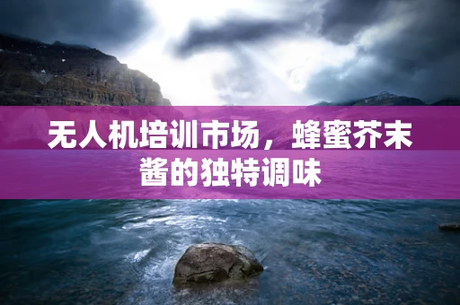 无人机培训市场，蜂蜜芥末酱的独特调味