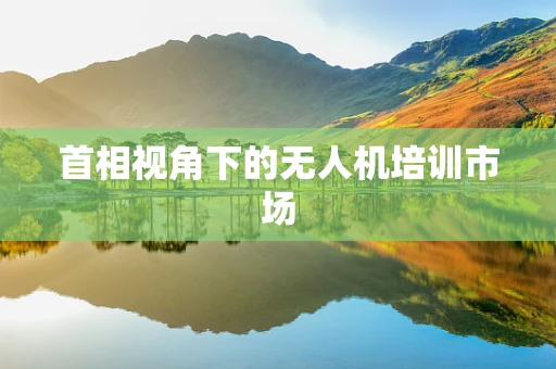 首相视角下的无人机培训市场
