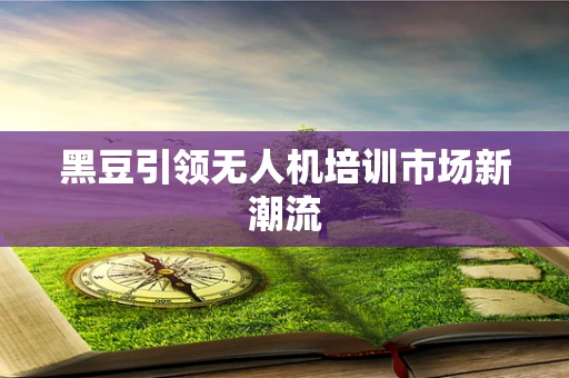 黑豆引领无人机培训市场新潮流