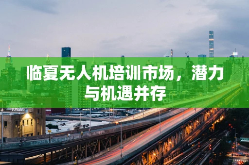 临夏无人机培训市场，潜力与机遇并存