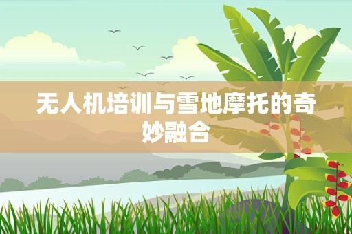 无人机培训与雪地摩托的奇妙融合