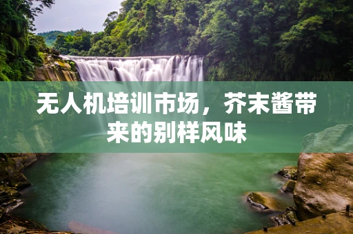 无人机培训市场，芥末酱带来的别样风味