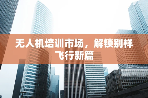 无人机培训市场，解锁别样飞行新篇