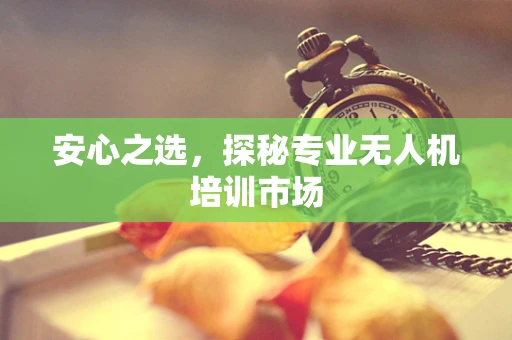 安心之选，探秘专业无人机培训市场