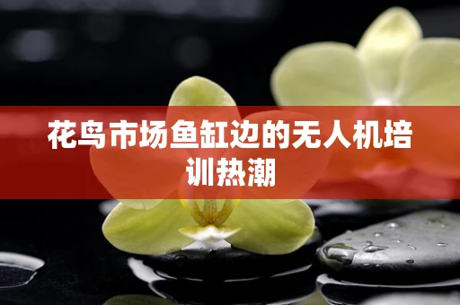 花鸟市场鱼缸边的无人机培训热潮