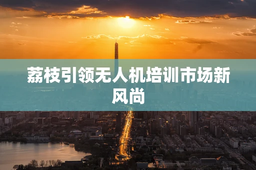荔枝引领无人机培训市场新风尚