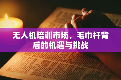 无人机培训市场，毛巾杆背后的机遇与挑战