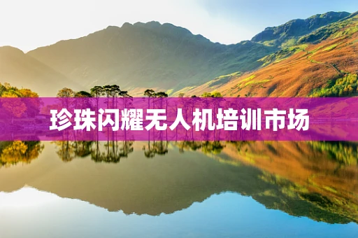 珍珠闪耀无人机培训市场