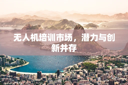 无人机培训市场，潜力与创新并存