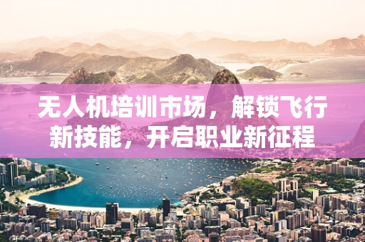 无人机培训市场，解锁飞行新技能，开启职业新征程
