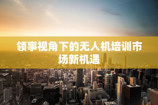 领事视角下的无人机培训市场新机遇