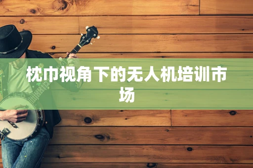 枕巾视角下的无人机培训市场