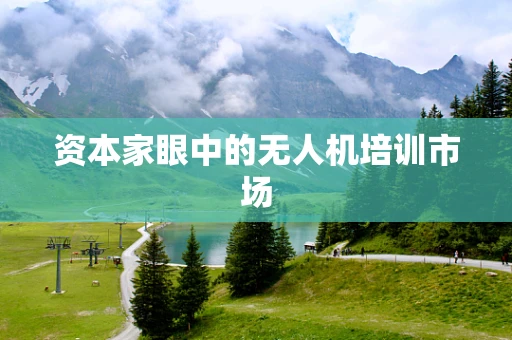 资本家眼中的无人机培训市场