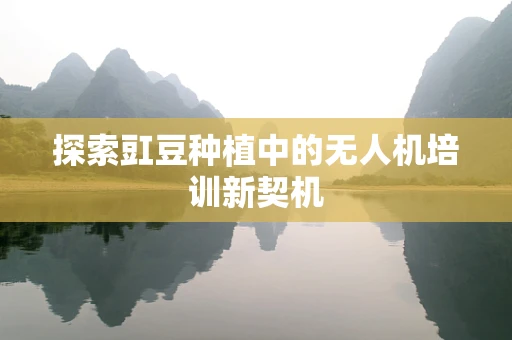 探索豇豆种植中的无人机培训新契机
