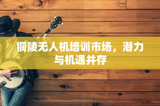 铜陵无人机培训市场，潜力与机遇并存