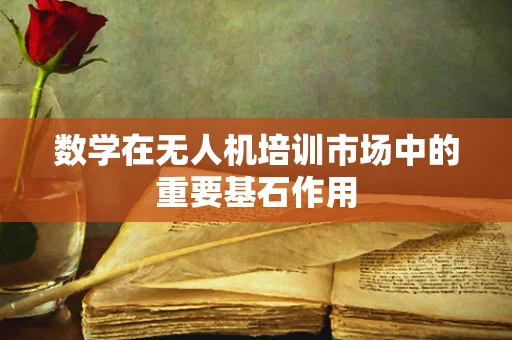 数学在无人机培训市场中的重要基石作用