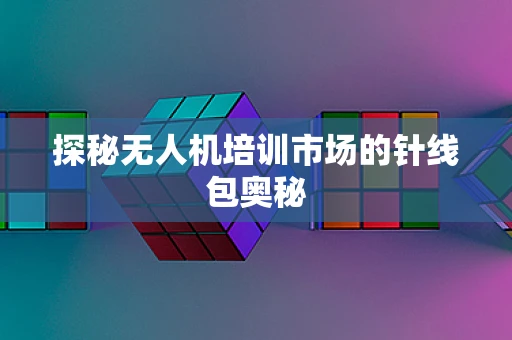 探秘无人机培训市场的针线包奥秘
