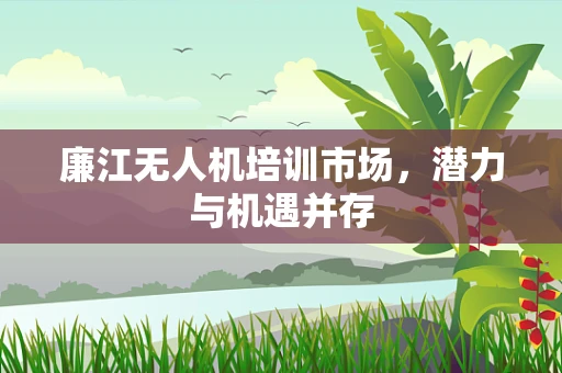 廉江无人机培训市场，潜力与机遇并存