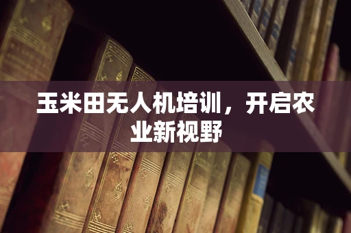 玉米田无人机培训，开启农业新视野