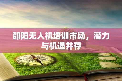 邵阳无人机培训市场，潜力与机遇并存