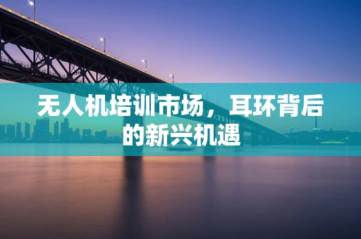 无人机培训市场，耳环背后的新兴机遇