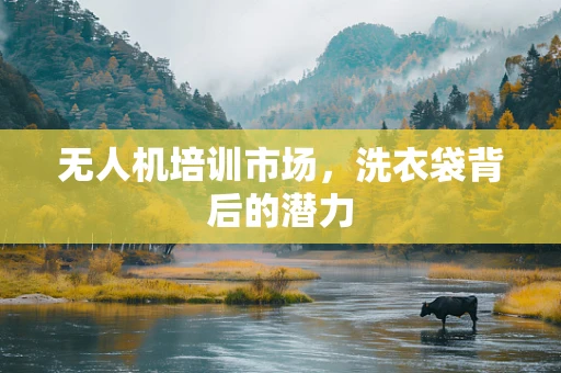 无人机培训市场，洗衣袋背后的潜力