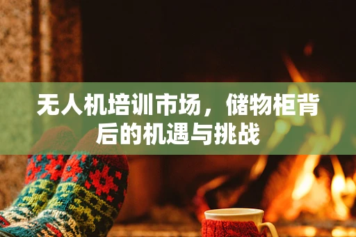 无人机培训市场，储物柜背后的机遇与挑战