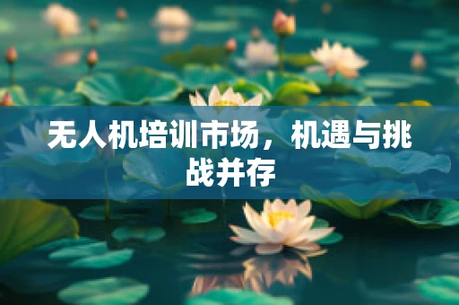 无人机培训市场，机遇与挑战并存