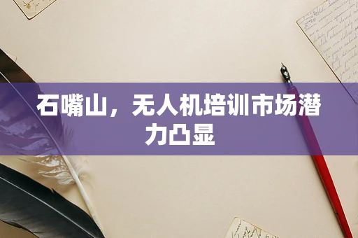石嘴山，无人机培训市场潜力凸显