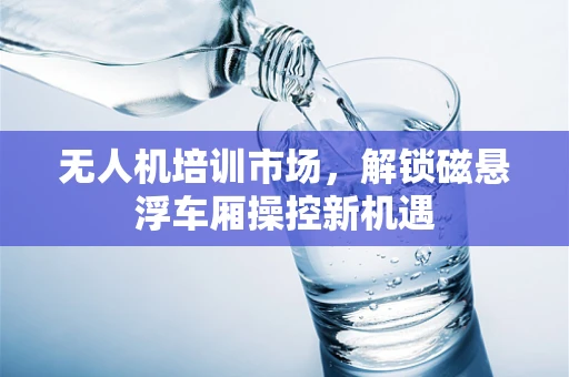 无人机培训市场，解锁磁悬浮车厢操控新机遇