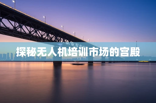 探秘无人机培训市场的宫殿