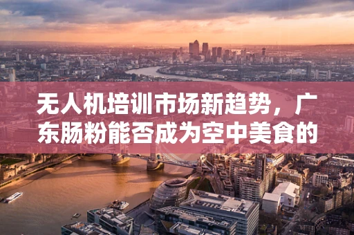 无人机培训市场新趋势，广东肠粉能否成为空中美食的意外助力？