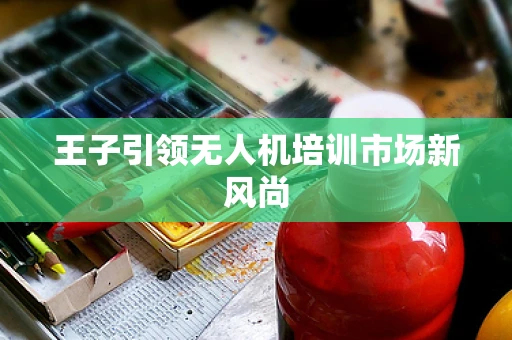 王子引领无人机培训市场新风尚