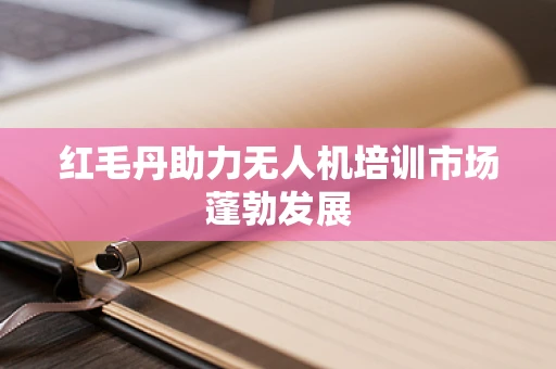 红毛丹助力无人机培训市场蓬勃发展